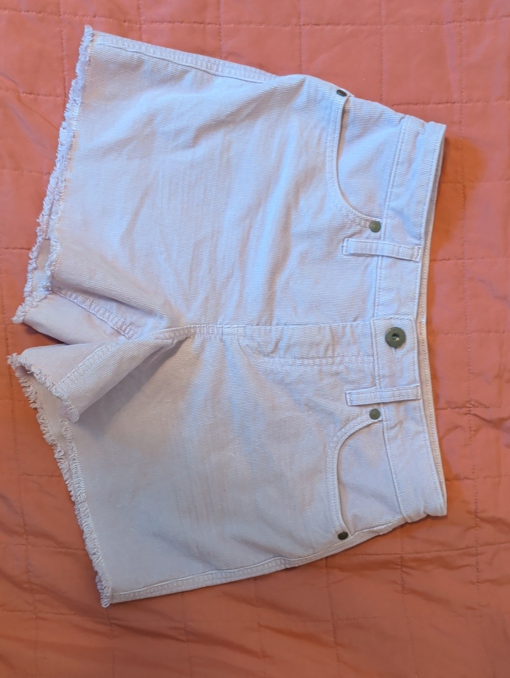 Carve Designs Lilac Dog Town High-Rise Frayed Hem Jean Shorts